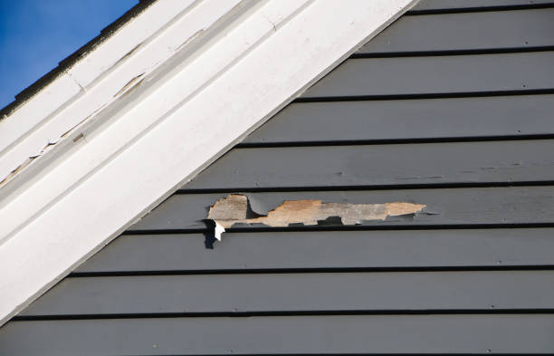 Best Hoarding Cleanup  in Apalachin, NY